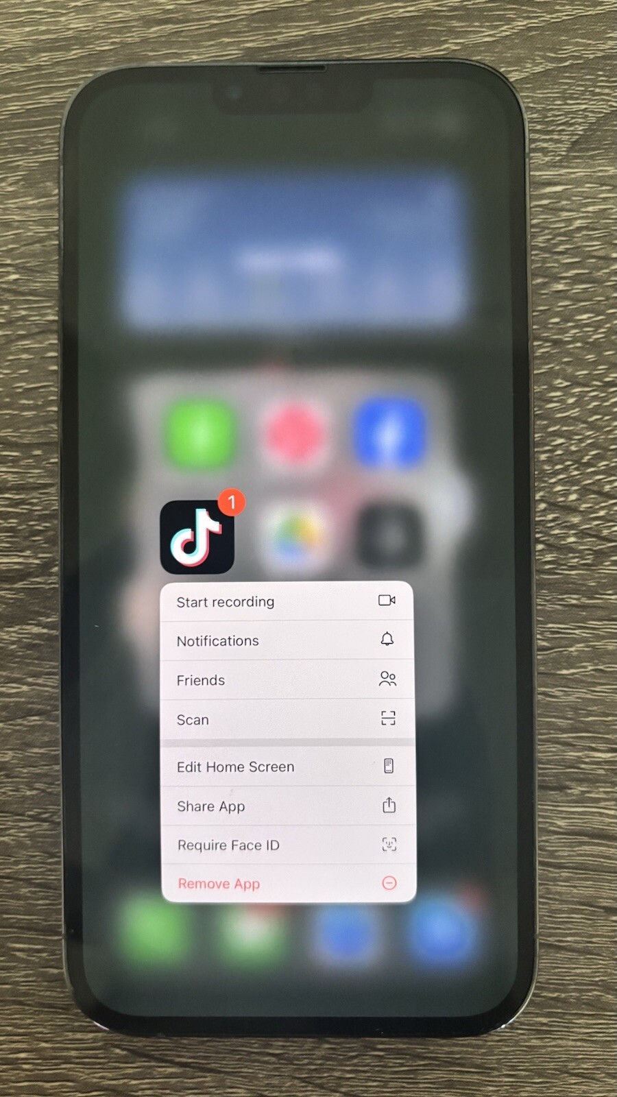 iPhone 13 Pro Max With TikTok