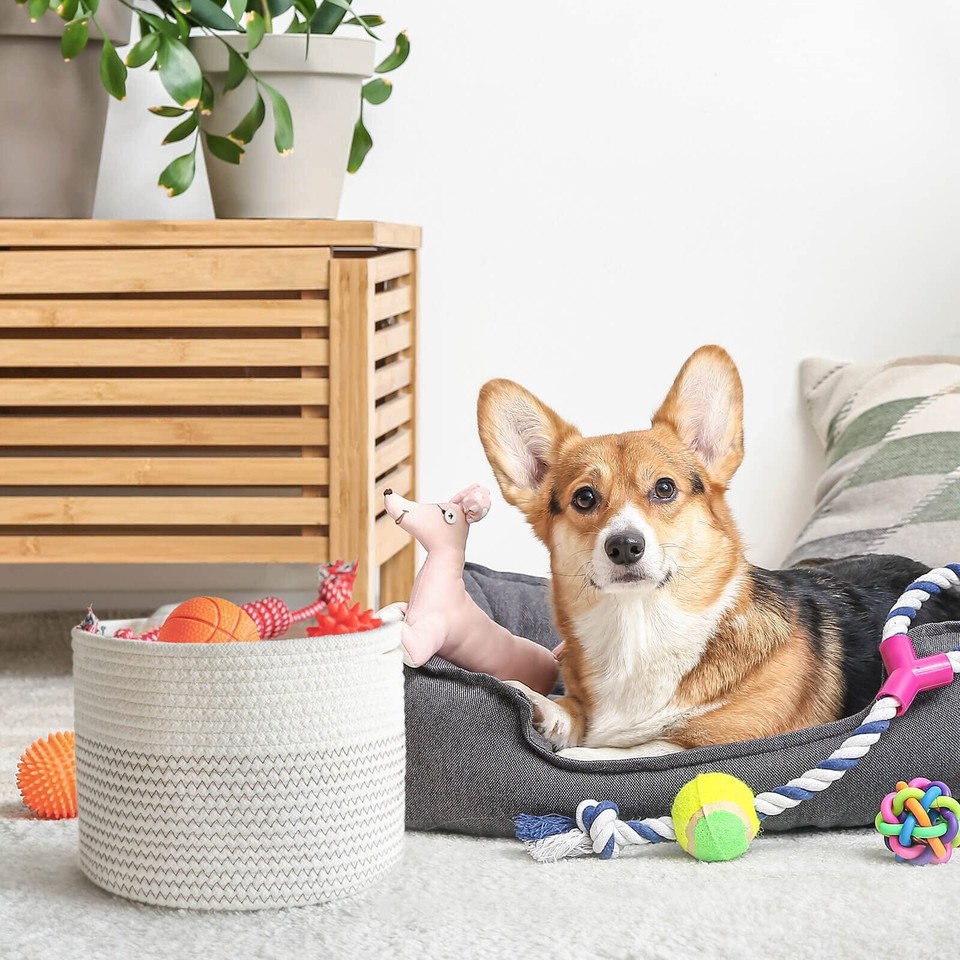 Small Rope Basket Round Woven Storage Basket Cute Dog Toy Basket Cotton