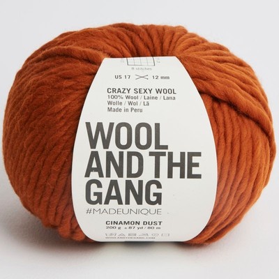 Stricken Häkeln Garn Wolle and the Gang Crazy Sexy Wolle weich Chunky Merino