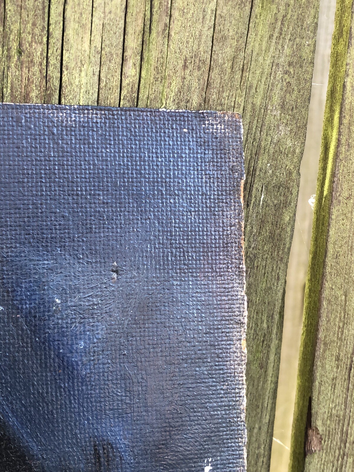 Picture 3 of 8