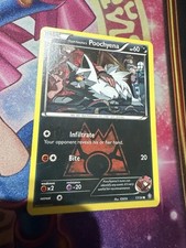Team Magma's Poochyena Common Double Crisis 17/34 LP on eBay