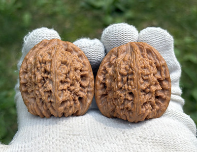 Hand massage ball Wenwan walnut Nan Jiang Stone Lion Head