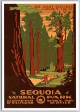 Sequoia National Park Giant Sequoias General Sherman Tree Vintage Postcard