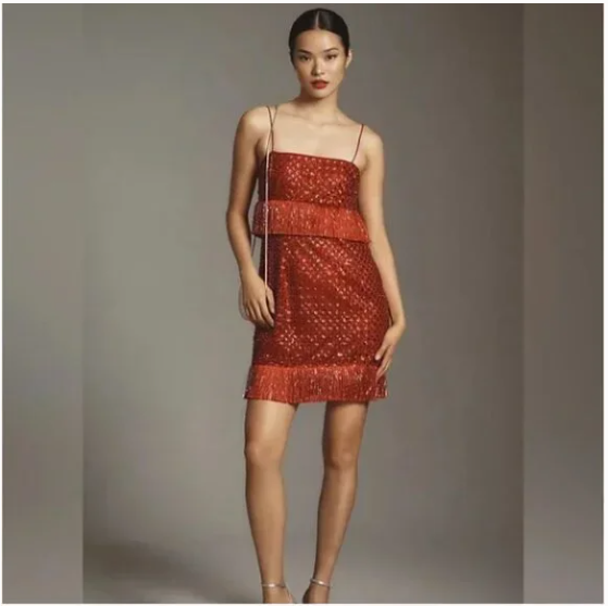NWT Saylor Anthropologie Caitriona Red Sparkly Sequin Fringe Mini Dress  Small | eBay