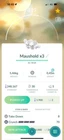 Maushold (Family of Three)-  TR-DE 20k stardust