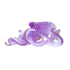 Fantasy Octopus Hair Clips,Acetate Hair Clips,Ocean Octopus Claw Clips for Women