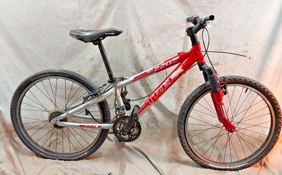 2010 Trek MT220 24