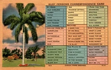 Florida, U.S.A., Tichnor Bros., Inc., Boston, Massachusetts, 193, Postcard