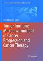 Tumor Immune Microenvironment In Cancer Progression And Cancer Therapy Kalinski