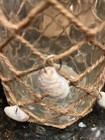 Pair Of Nantucket 9.5” Tall 5” Diameter Coastal Hurricane Lamps — photo 3