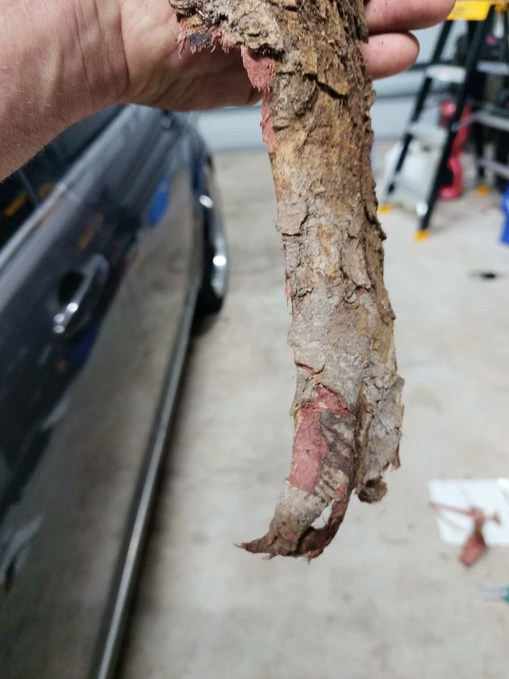 Polvo de corteza de raíz natural para tinte de cuero 1 kg ¡NUEVO LOTE!! Foto 2 de 4