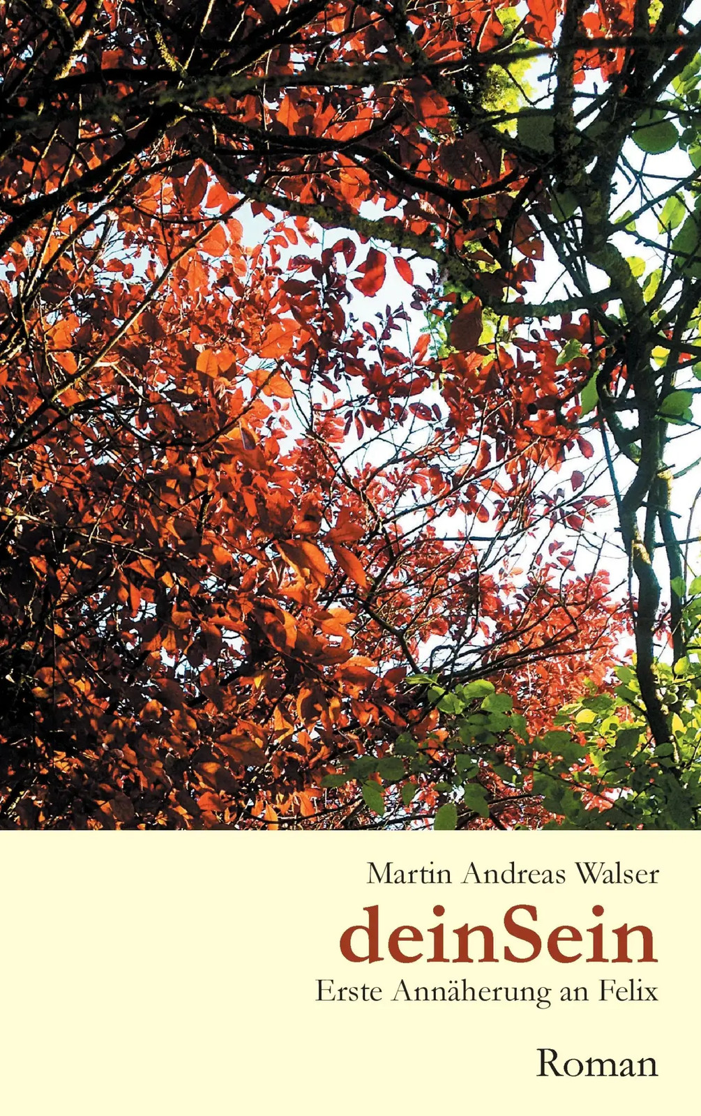 deinSein Erste Annäherung an Felix Martin Andreas Walser Taschenbuch 184 S. 2015