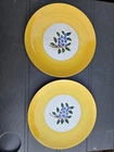 VTG 2pc STANGL POTTERY "BLUEBERRY" 10 1/8" DINNER PLATES HAND PAINTED