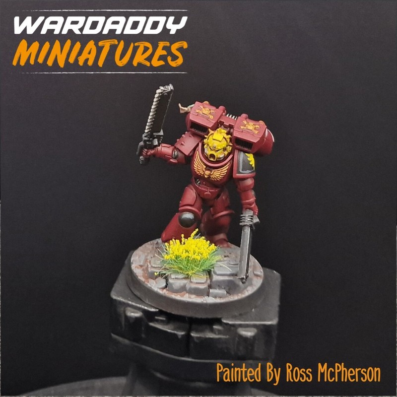 Pro Painted Warhammer 40k Blood Angels Captain/Lieutenant Kitbash Games Workshop
