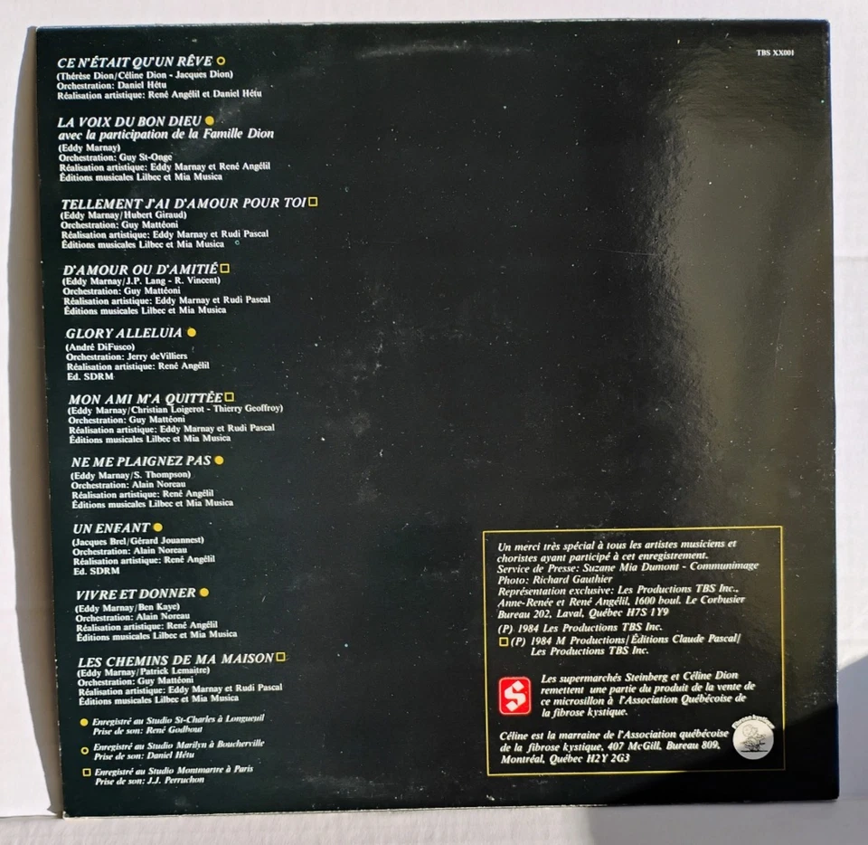 CELINE DION Les Plus Grands Succes LP 1984 TBS XX001 Vinyl Céline Succès VGUC Foto 2 de 2
