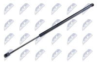 NTY Heckklappen DäMpfer Gasfeder Kofferraum AE-FT-024 FüR 500L Fiat 199LYC1B 199