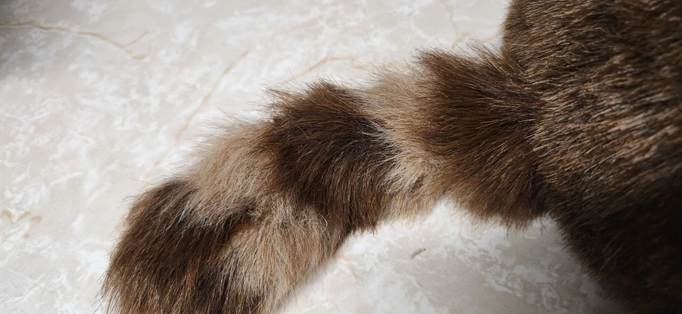 Винтажный Dakin Енот Плюшевый Ronnie Huggables Woodland Семья Реалистичная Мягкая - Изображение 3 из 4