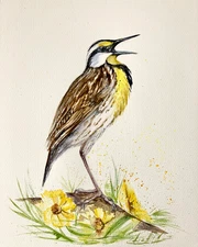 Singing Bird Meadowlark  Watercolor Original Painting 