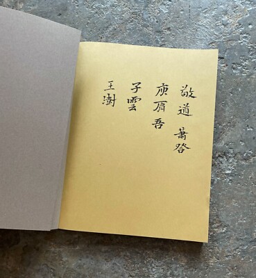 Wang Shu : Imagining the House by Wang Shu (2012, Trade Paperback