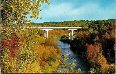 Peterson Bridge Pine N Baldwin Michigan MI Fall Scene VTG Postcard UNP Avery