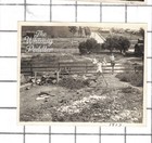 1913 Antique Snapshot Photo Children Rural Road Farm Fence Landscape Scene