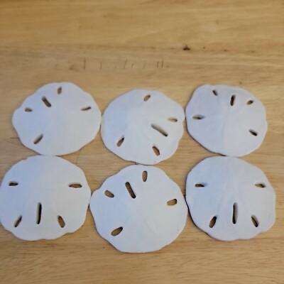 6 White Sand Dollar Coastal Nautical CERAMIC decorative pieces