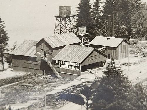 DOERNBECHER Sawmill Coalcas Pillar Sternwheeler Willamette River Photo c1890s - Picture 7 of 13