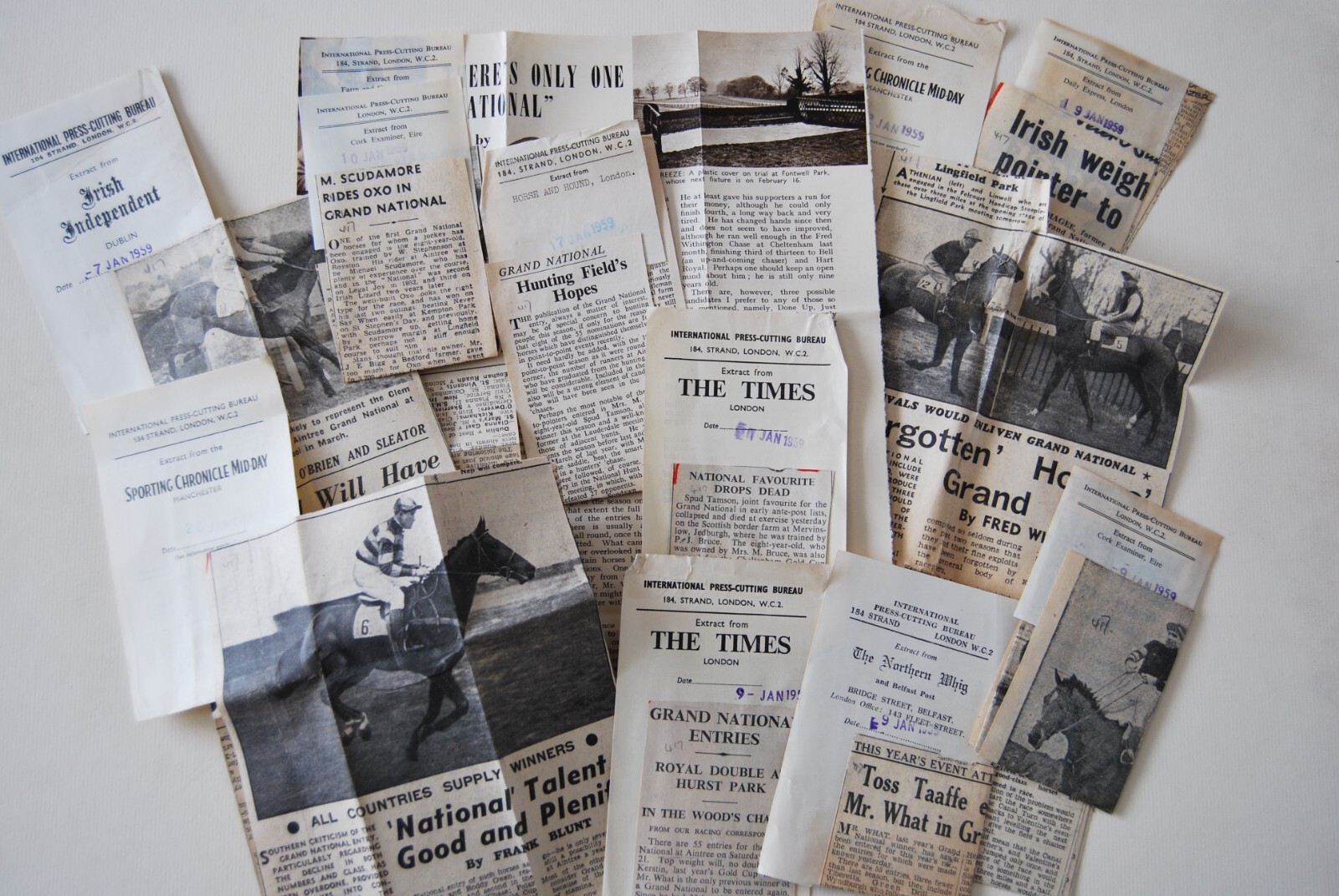 1959 HORSE RACING PRESS CUTTINGS THE CALLANT, OXO, MR WHAT, NEJI