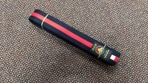 karate master belt