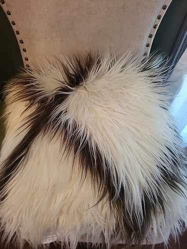 Pottery Barn Mongolian Faux Fur 18" pillow And Insert - Picture 7 of 7
