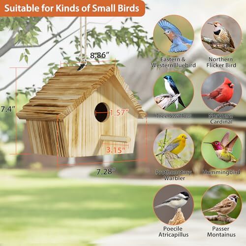 Bird House, Bird Houses for Outside, Wooden Birdhouse for