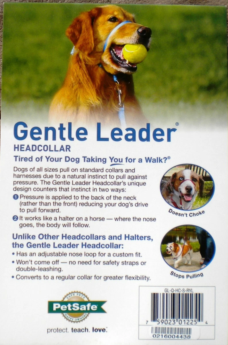 NEW - PETSAFE GENTLE LEADER HEADCOLLAR (SMALL)-INCLUDES TRAINING GUIDE AND  DVD | eBay