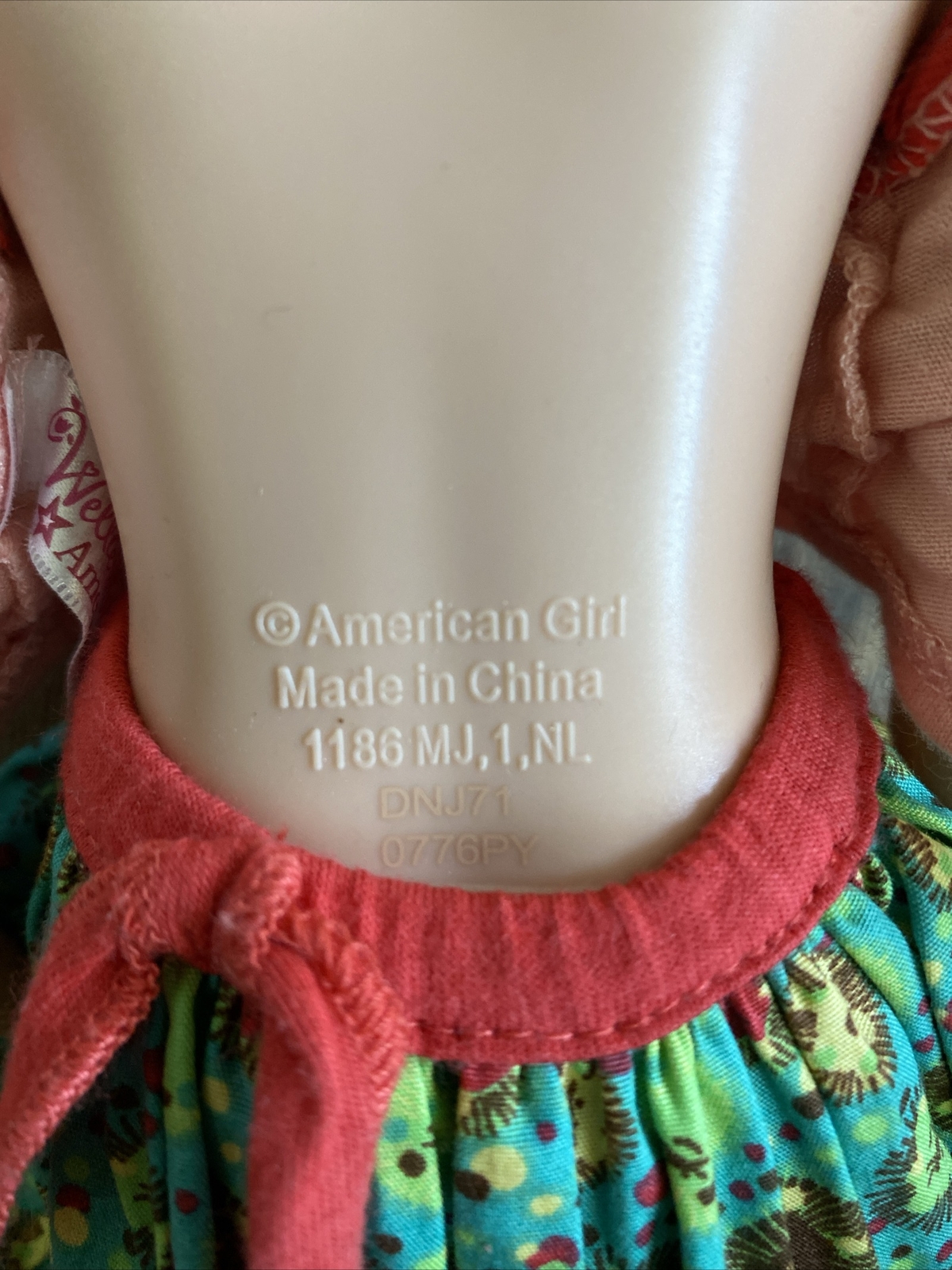 American Girl AG Wellie Wishers Camille Doll 14.5 Inch 2021 Willa Outfit