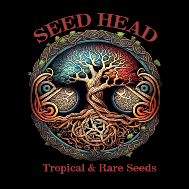 Seed Head Exotics | eBay Stores