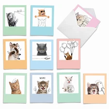 10 All Occasion Blank Note Cards with Envelopes - FELINE GRAFFITI M6583OCB