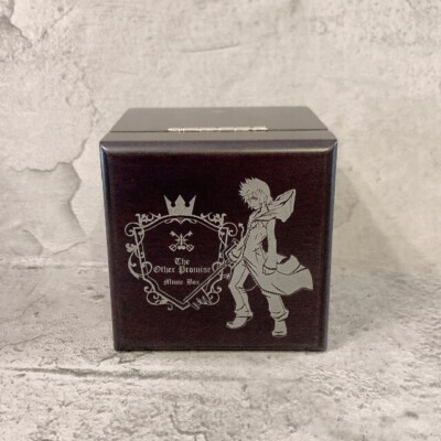 Rare SQUARE ENIX Kingdom Hearts Orgel Roxas The Other Promise