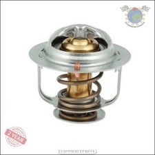 Thermostat Ford MAVERICK