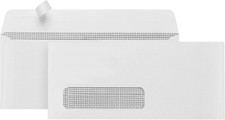 500 Left Window Envelopes Self Seal 10 Security Tint 4 1/8 x 9 1/2 Inches