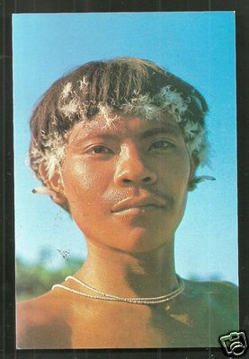 Brazil Ianomani Indian Man Boy Feathers Roraima stamp