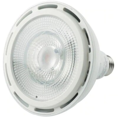 NEW! Sylvania ULTRA LED High Output PAR38 LED Flood Lamp - 3000 Lumens! 30W 
