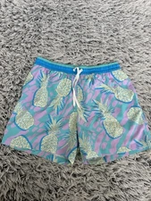 Chubbies Swim Trunks Mens Large Tropical Pineapple 5.5 Inseam Mesh Lined Stretch