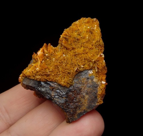 WULFENITE intensive orange crystals !!! -- CHINA - Kuruktag Mountains /pj585 - Picture 6 of 17