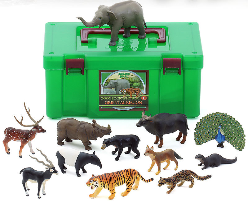 特別セール！MV% Zooコレクション　限定2/20 ウシ Zoogeography 2 Oriental Region PVC Figure Set 12 pcs In Box