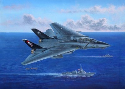 Hobbyboss 80367 - 1:48 F-14B Tomcat- Neu