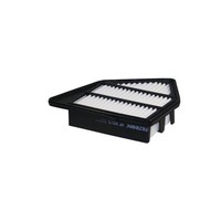 Filtron AP 105/5 Luftfilter