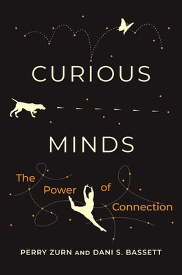 Curious Minds: The Power of Connection, Zurn, Perry,Bassett, Dani S., Very Good