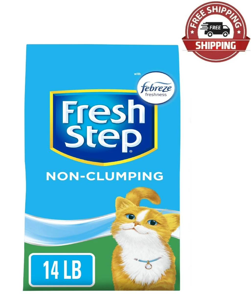 The Best Odor Controlling Cat Litters Of 2023, Tested And