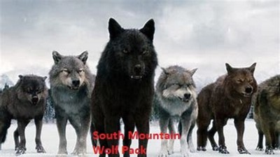 mountain wolf backpack price