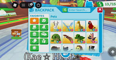 Adopt Me! Backpack Pets Inventory Screenshot Virtual Game Item/Asset NFR