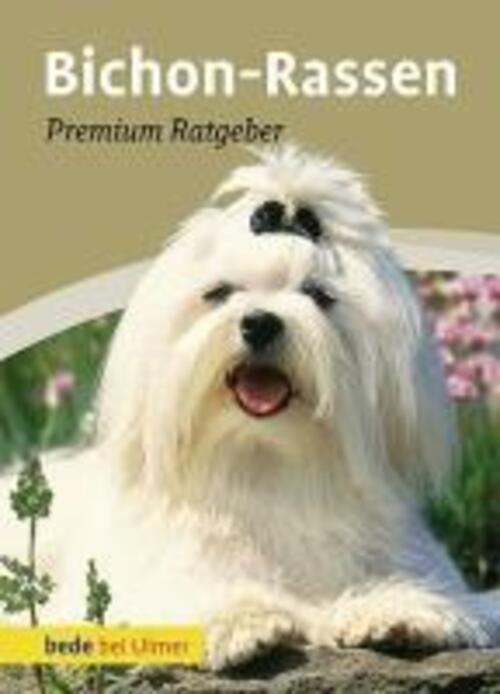 Thumbnail - Bichon-rassen | Karin Biala-gauß (u. A.) | Buch | Bede Bei Ulmer | 158